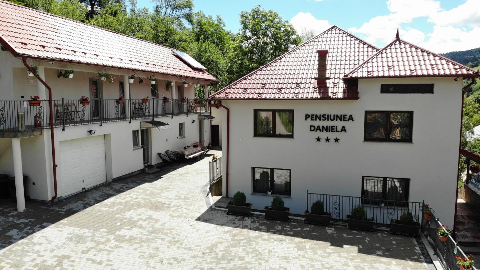 Pensiunea Daniela Мойсей Экстерьер фото