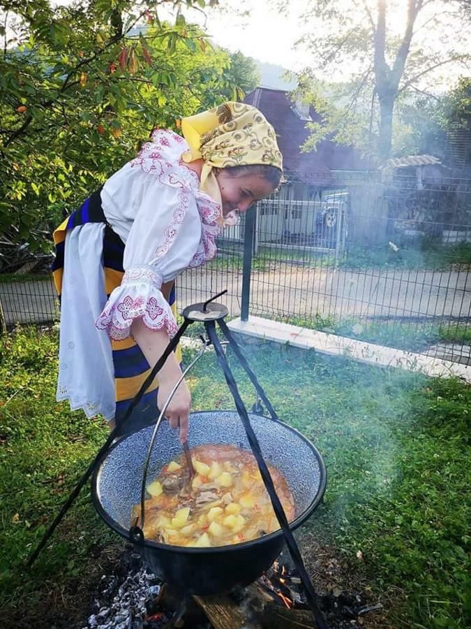 Pensiunea Daniela Мойсей Экстерьер фото